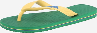 Flip-flops 'BRASIL' pe 37-38 HAVAIANAS pe albastru / galben / verde, Vizualizare produs