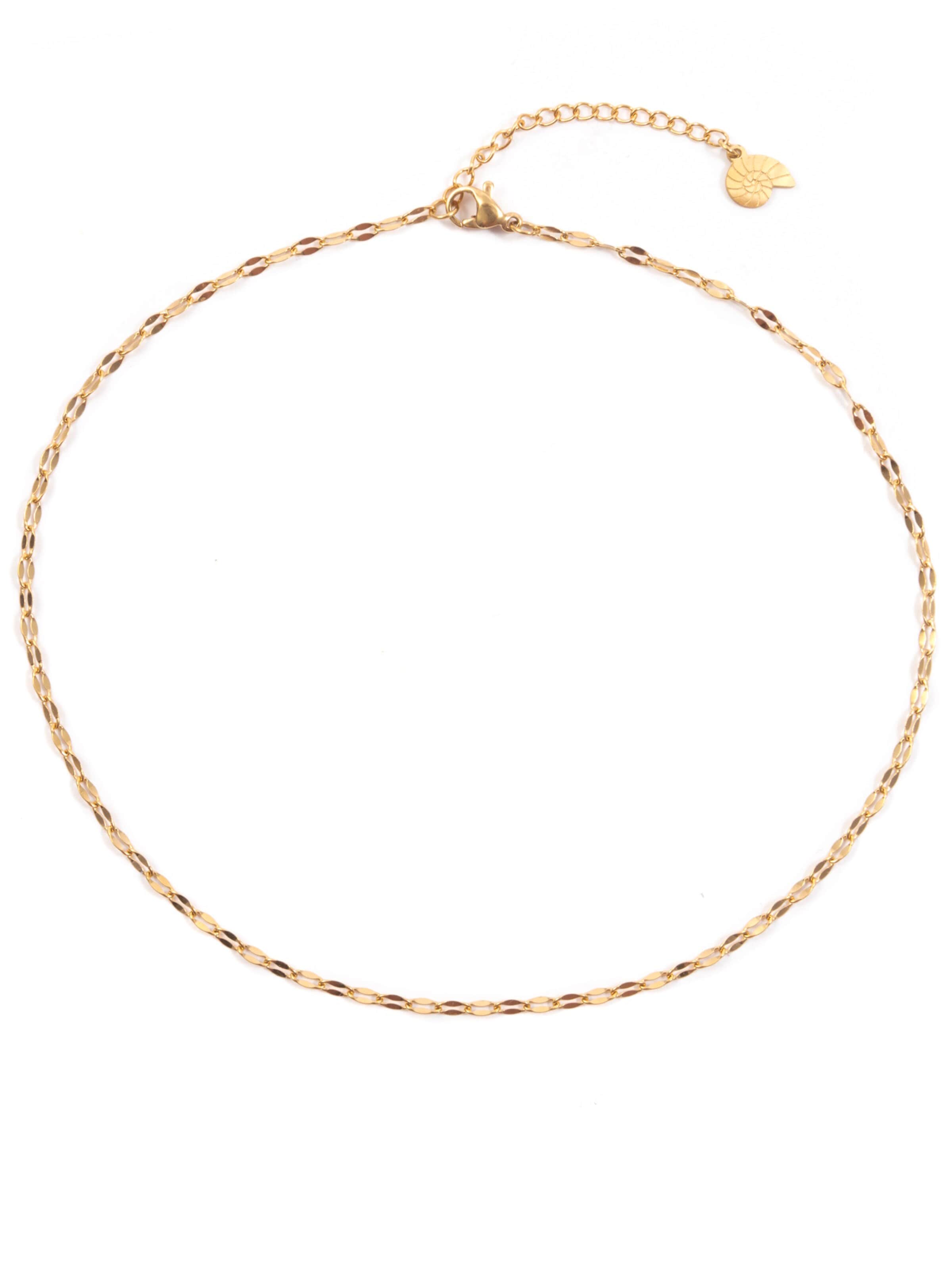 Hey Happiness - Cadena 'Rolo Choker' en oro