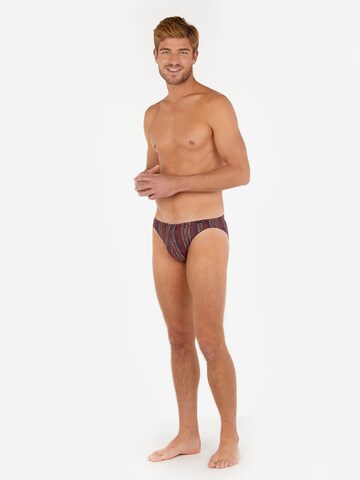 HOM Panty ' Ottawa ' in Mixed colors