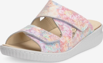 Zoccoletto di VITAFORM in colori misti: frontale