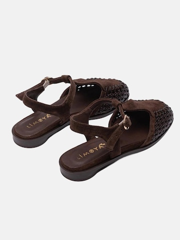 Limoya Sandals in Brown