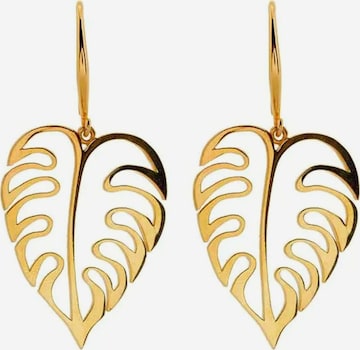 Gemshine Earrings in Gold: front