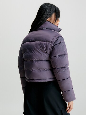 Veste d’hiver '2in1' Calvin Klein Jeans en violet