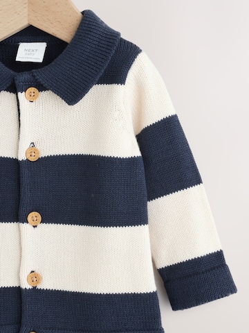 Next Gebreid vest in Blauw