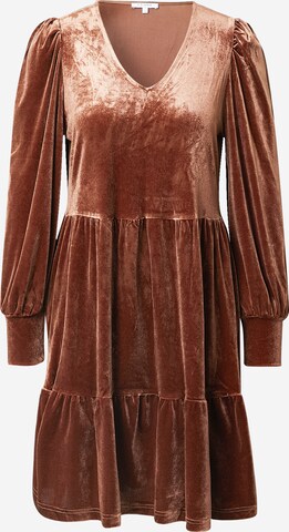 Claire Shirt Dress 'Djinna' in Brown: front