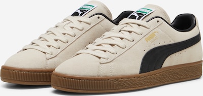 Sportbačiai be auliuko 'Suede Terrace' iš PUMA, spalva – juoda / vilnos balta, Prekių apžvalga