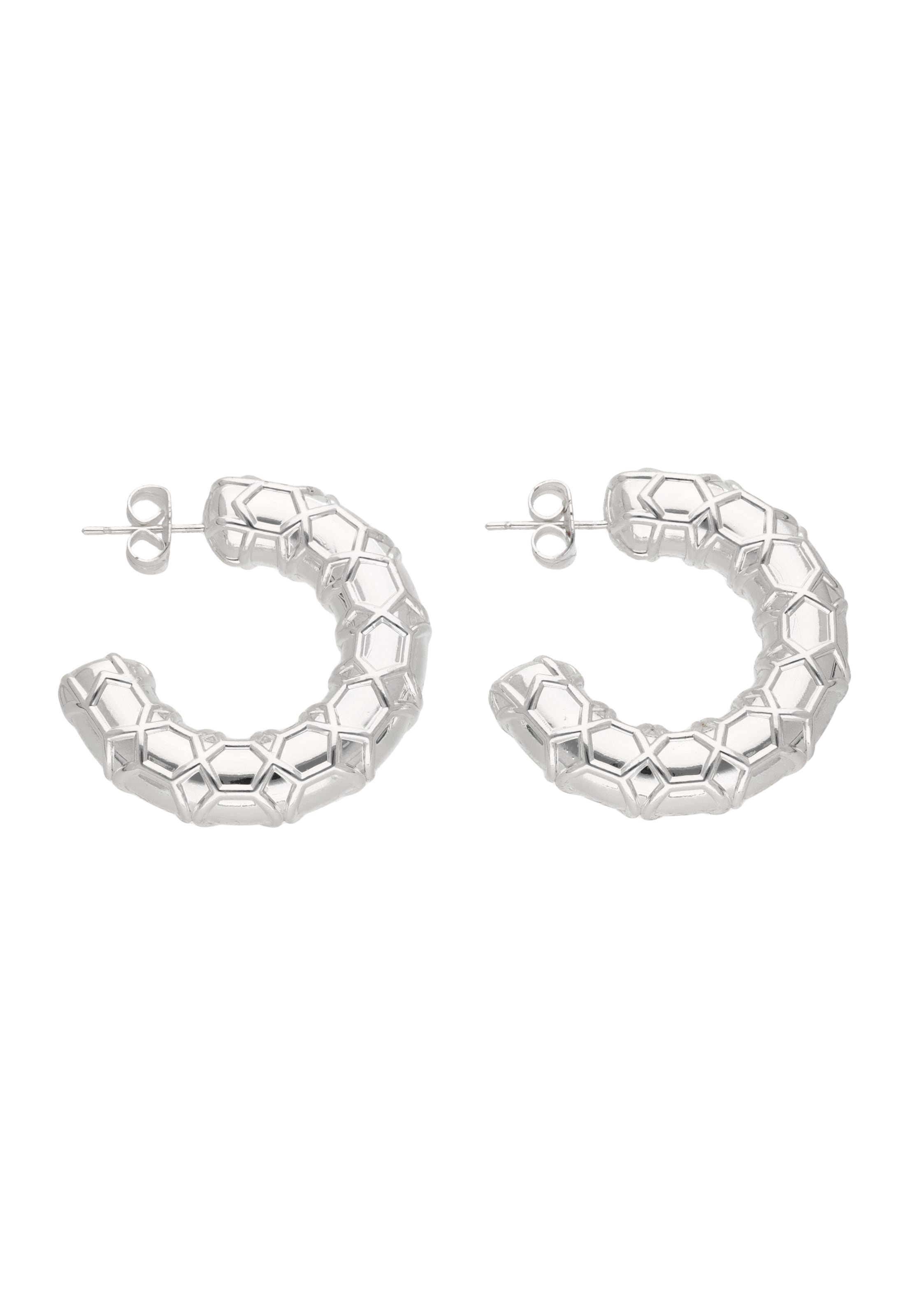 GRASSLAND Earrings in Silver: front