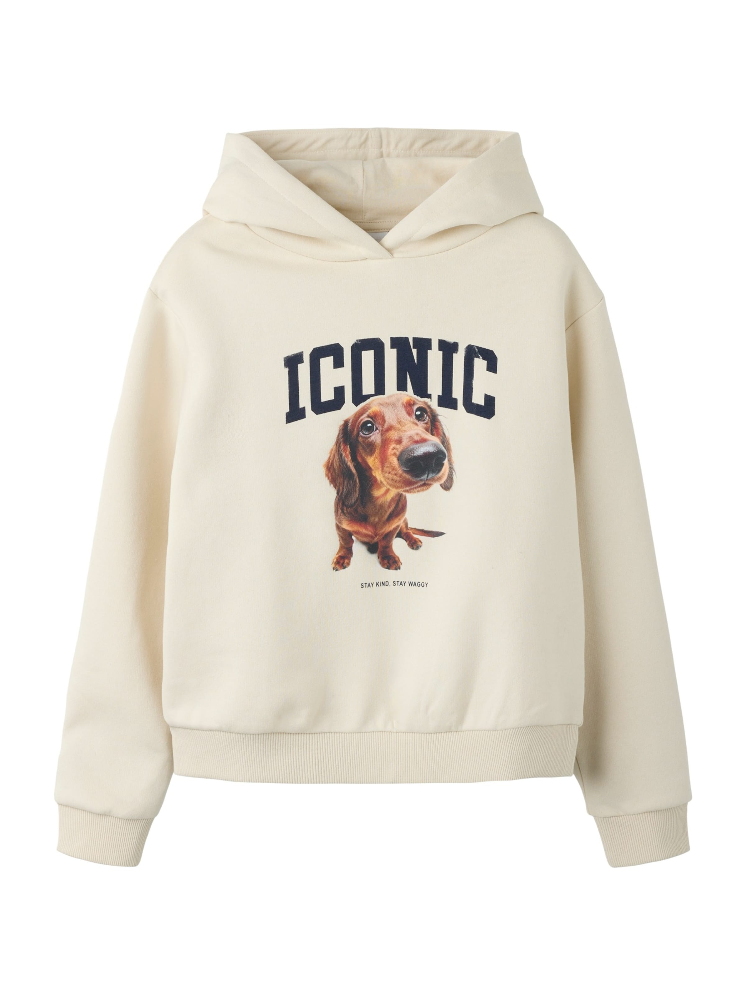 NAME IT Sweatshirt 'NKFSERA' in Beige: front