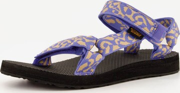 TEVA Sandals in Mixed colors: front