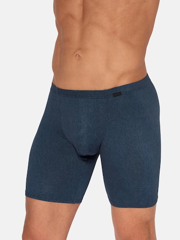 Boxers ' RED2565 Bikerpants ' Olaf Benz en bleu : devant