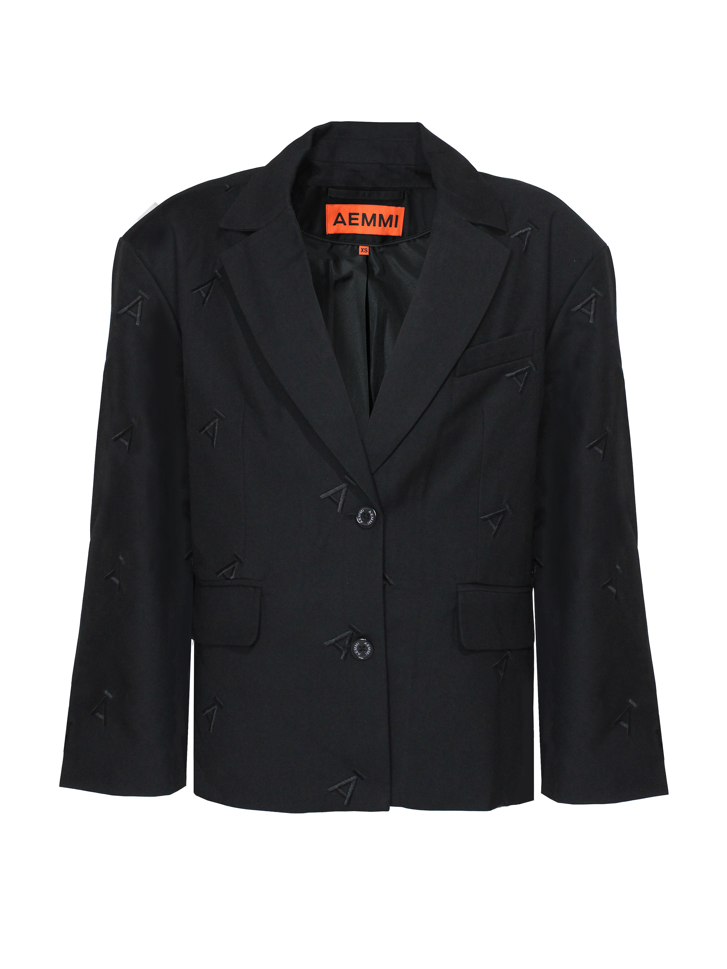 AEMMI Blazer in Black: front