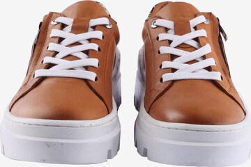 D.MoRo Shoes Sneakers 'Zerosix' in Brown