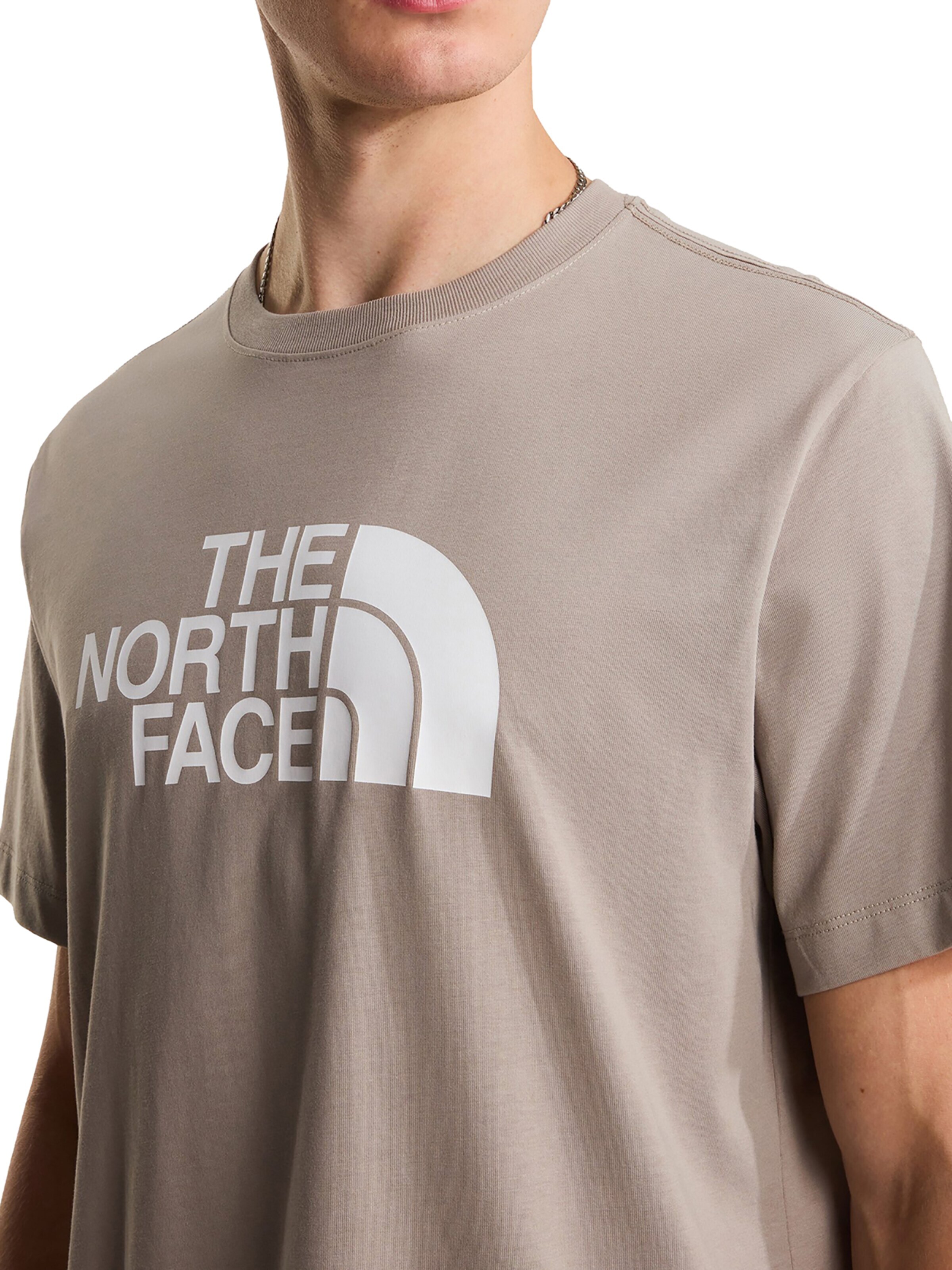THE NORTH FACE Shirt 'Evolution Half Dome' in Grey