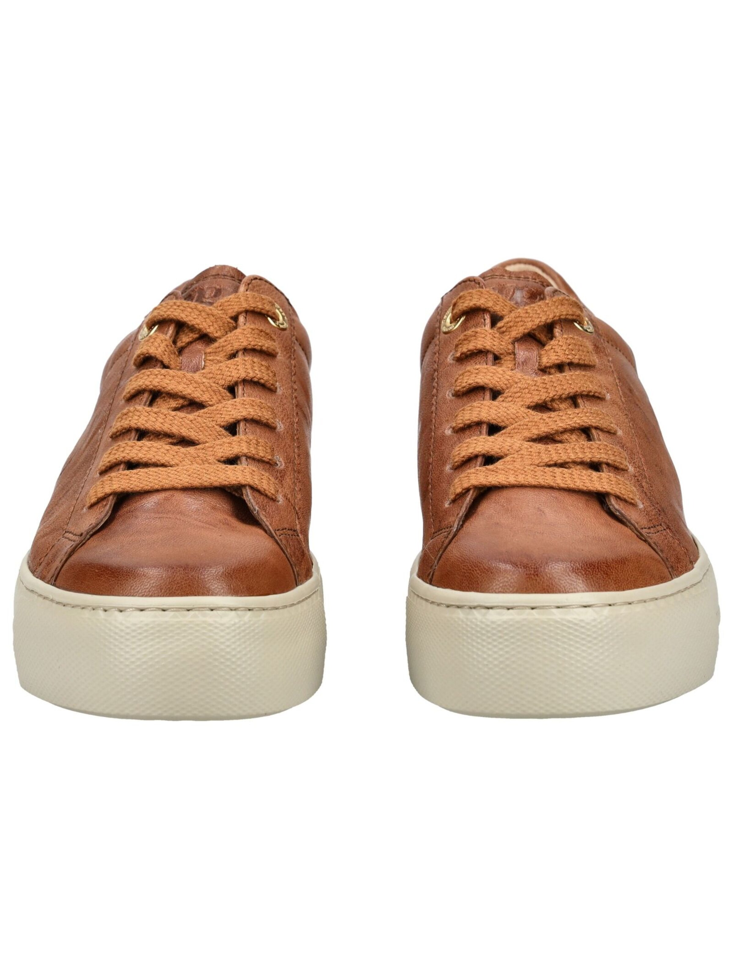 Paul Green Sneakers in Brown