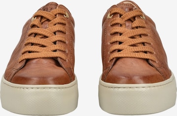 Paul Green Sneaker in Cognac ABOUT YOU