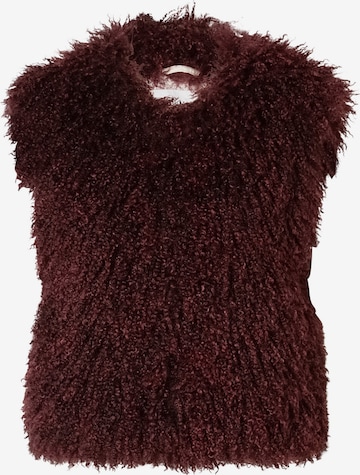 Gilet OAKWOOD en rouge : devant