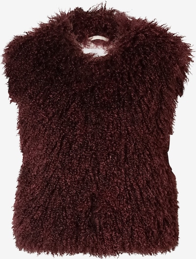 OAKWOOD Vest XS suuruses veinipunane, Tootevaade