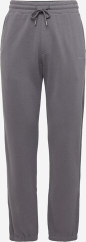 Pantaloni di HOLLISTER in grigio: frontale