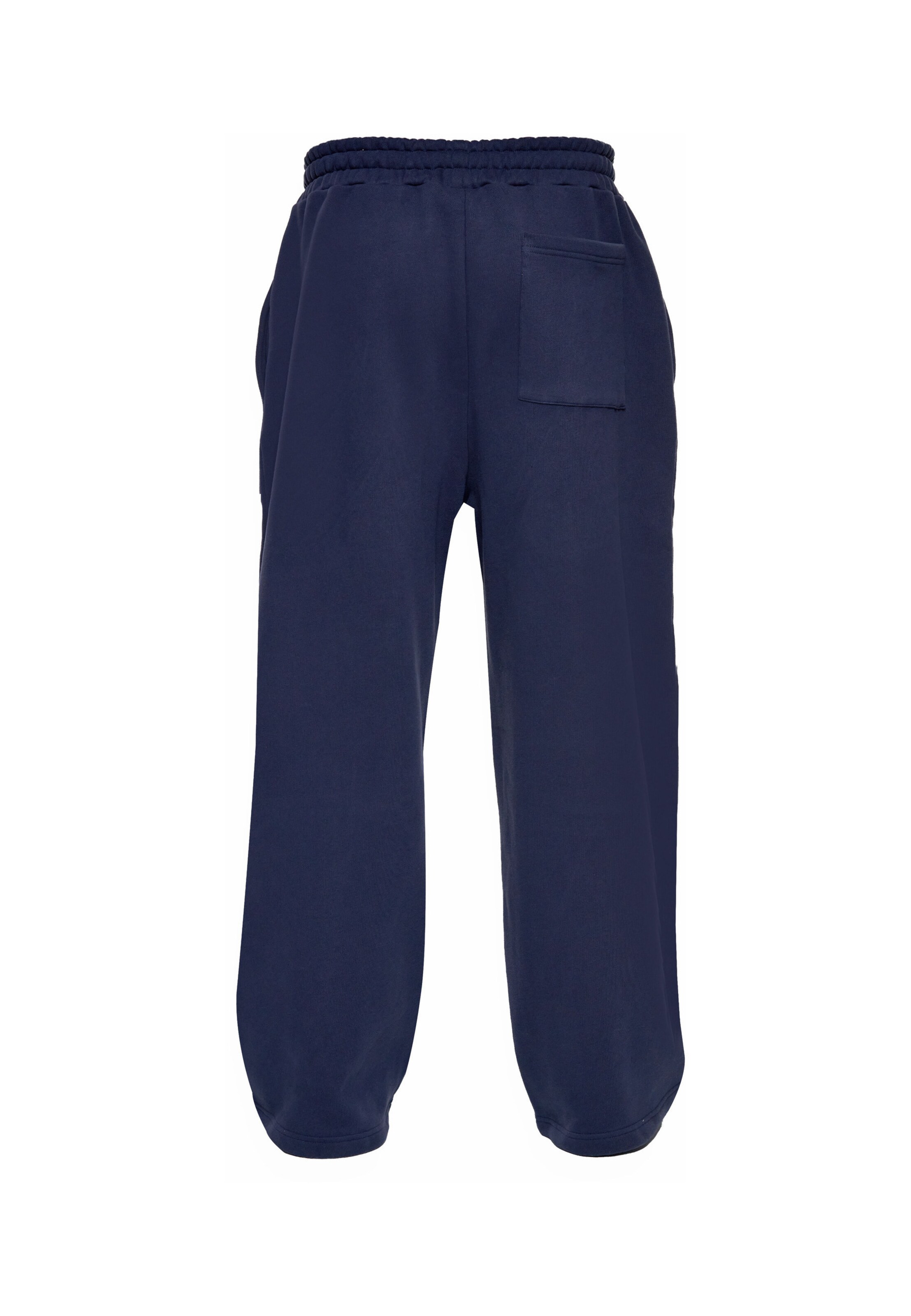 regular Pantaloni di Dropsize in blu