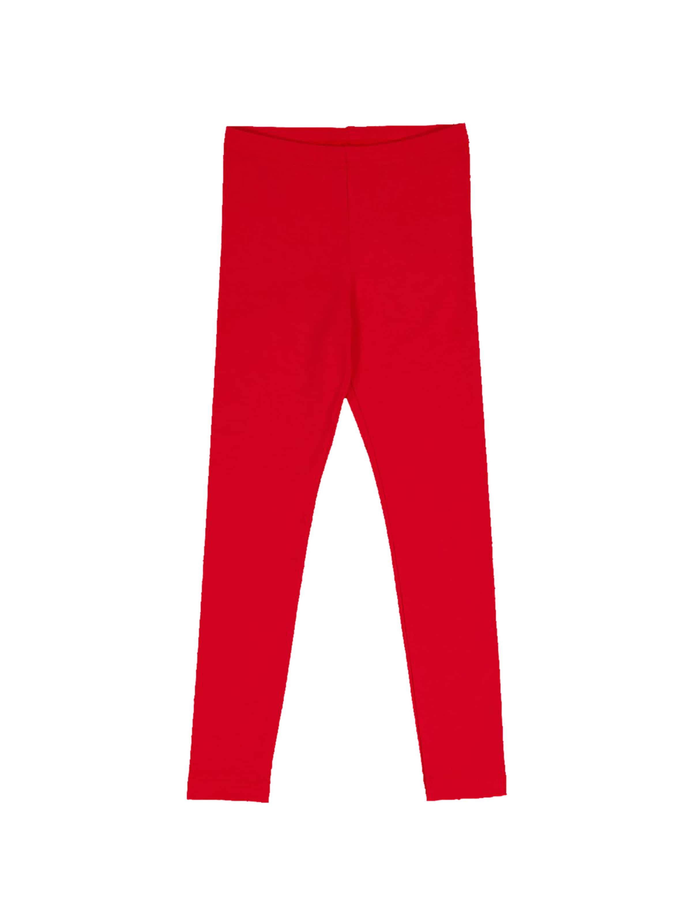 Leggings Fred's World by GREEN COTTON en rouge : devant