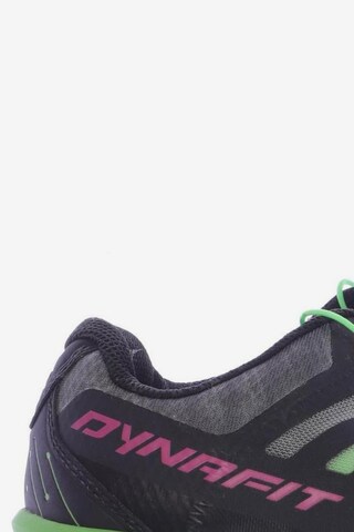 DYNAFIT Sneaker 41 in Grau