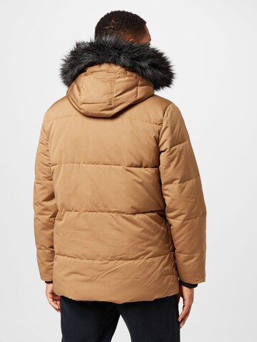 HOLLISTER Winter parka 'WORKWEAR' in Brown