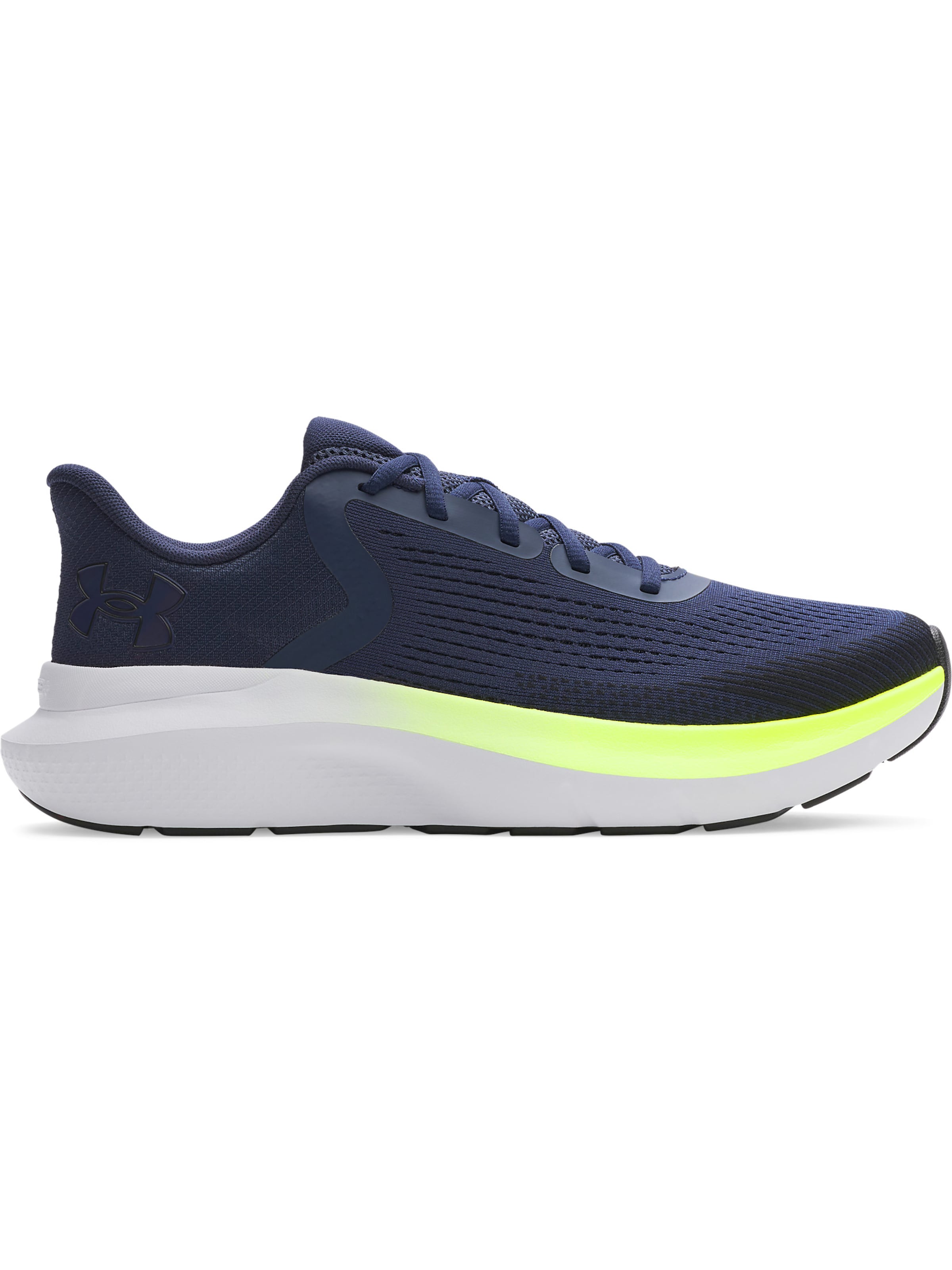 UNDER ARMOUR Running shoe 'Charged Rogue 5' in Blue: front