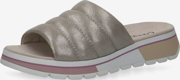 CAPRICE Mules in Grey: front