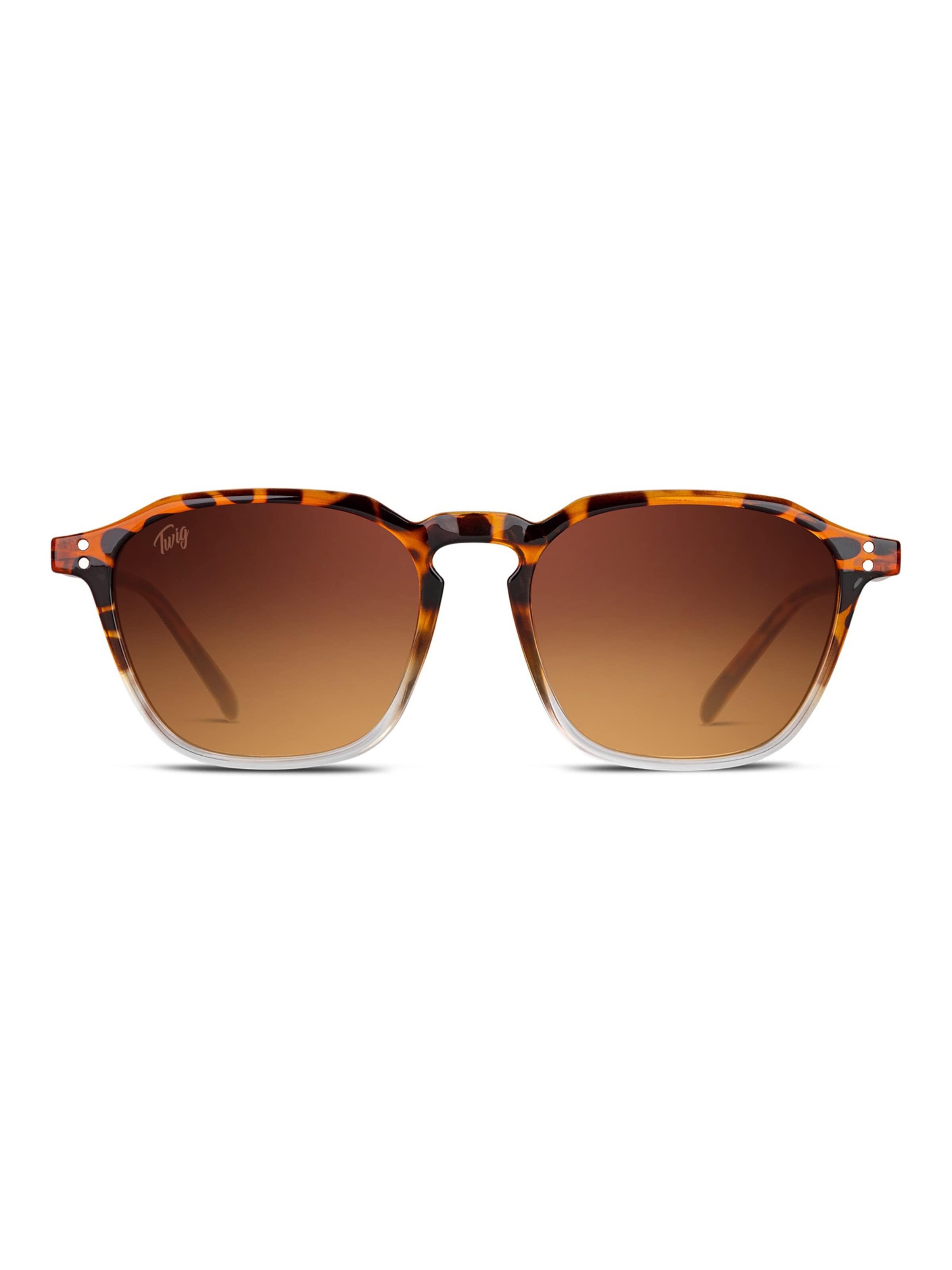 TWIG Concept Milano Sunglasses 'Updike' in Brown