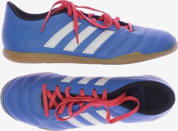 ADIDAS PERFORMANCE Sneakers & Trainers in 41,5 in Blue: front