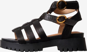 Findlay - Sandalias 'Sandalen mit Riemchen' en negro: frente