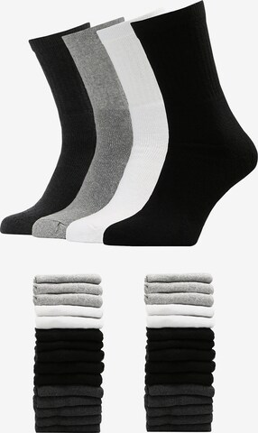 Albert Schäfer Socks '30er Pack' in Mixed colors: front