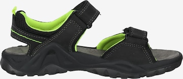 Bama Sandals & Slippers in Black