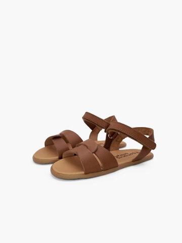 Pisamonas Sandal in Brown