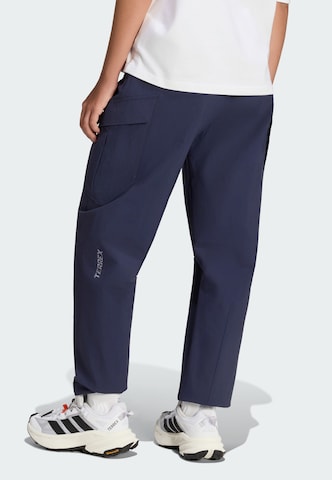 ADIDAS TERREX Обычный Штаны в спортивном стиле 'Xploric' в Синий