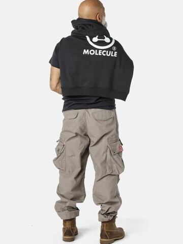 regular Pantaloni cargo 'BAGGY' di Molecule in grigio