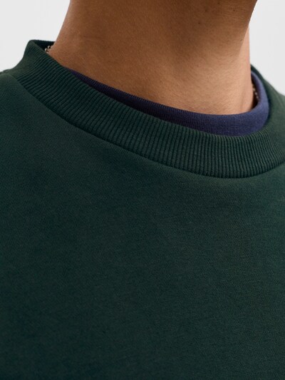 JACK & JONES Sweatshirt 'JJEBRADLEY' in S in Fir, Item view