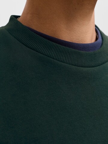 JACK & JONES Свитшот 'JJEBRADLEY' в Зеленый