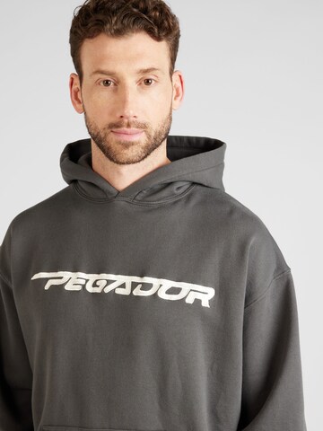 Pegador Sweatshirt 'MANOR' i grå