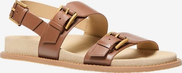 Michael Kors - Sandalias en marrón: frente
