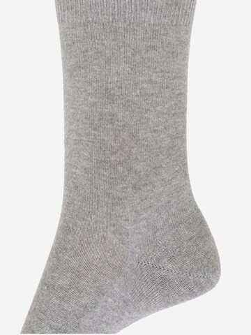 FALKE Socke in Grau