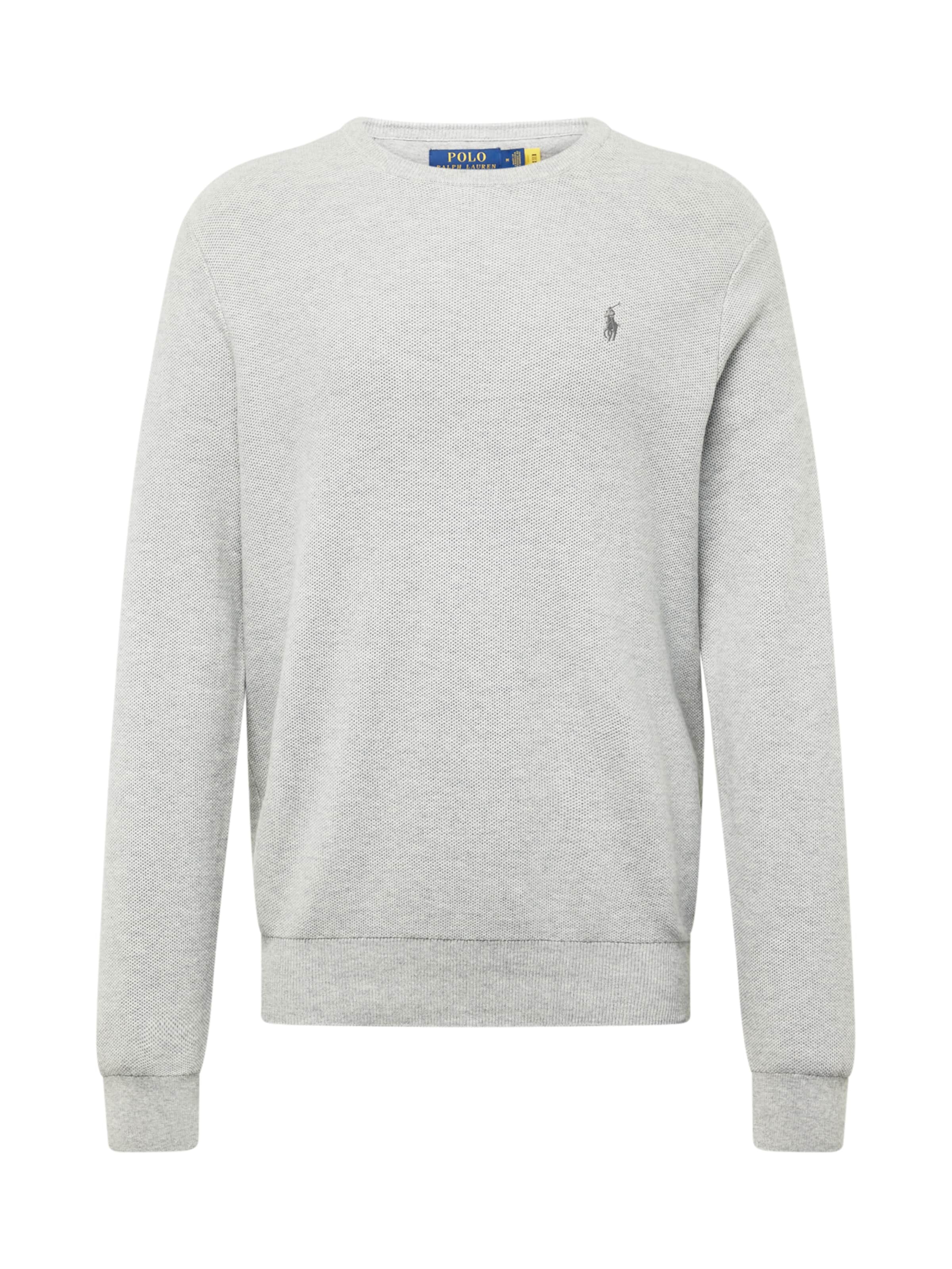 Polo Ralph Lauren Sweater in Grey: front
