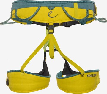 Edelrid Klettergurt 'Jay III' in Grün