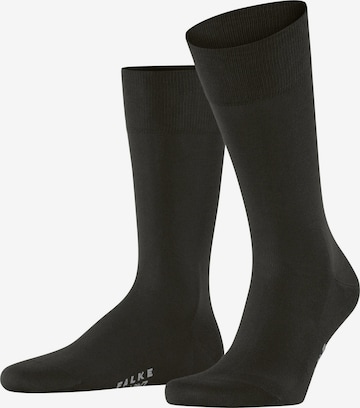 FALKE Socken 'Cool 24/7' in Braun: Vorderseite