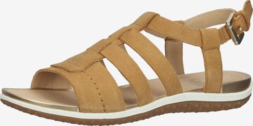 GEOX Sandals in Brown: front