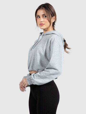 Smilodox Sweatshirt 'Abby' in Grau