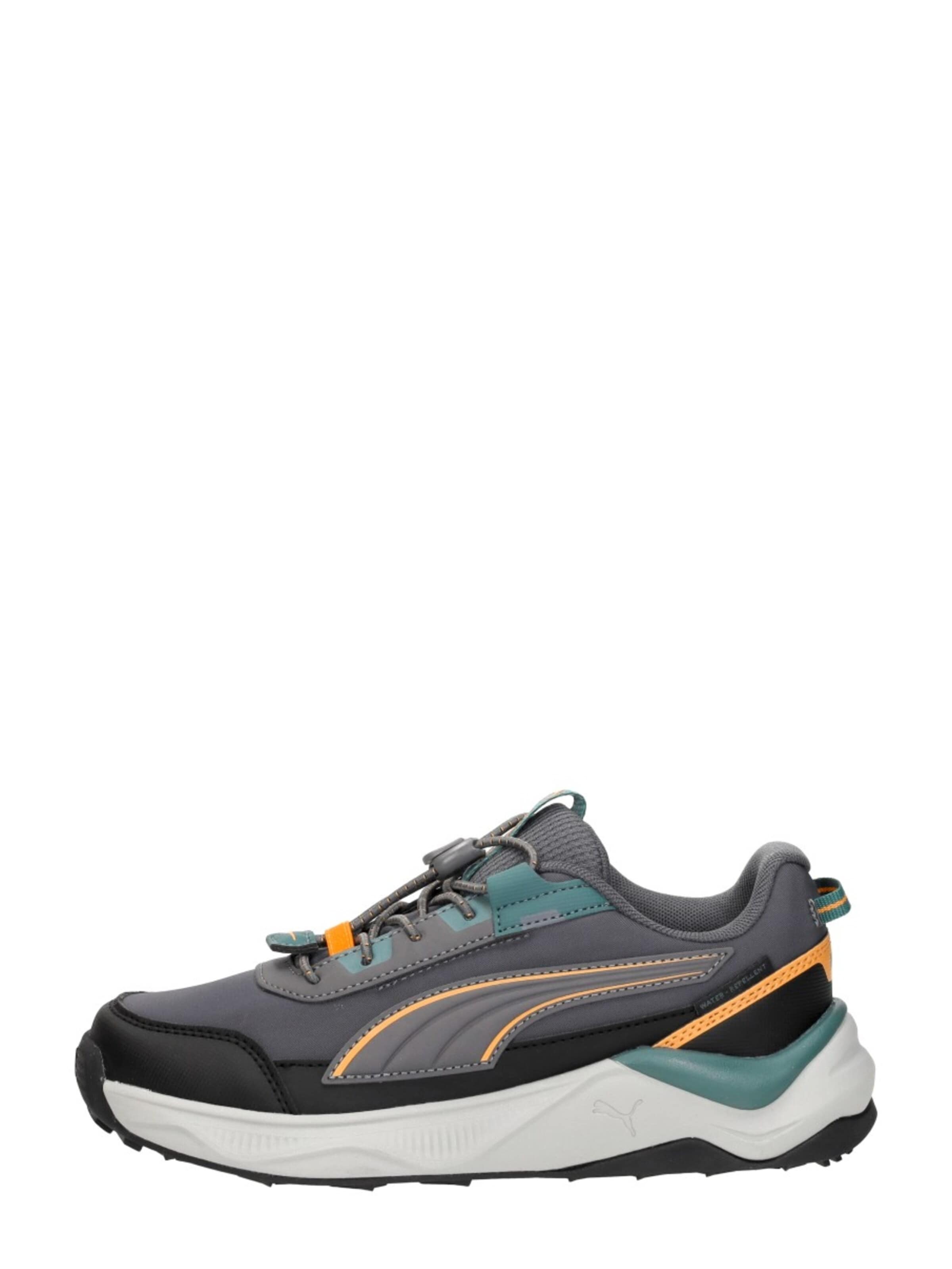 PUMA Sneakers 'Evolve 2.0 Trail Lo PS' in Grijs: voorkant