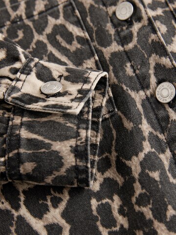Next Shirt dress in Brown