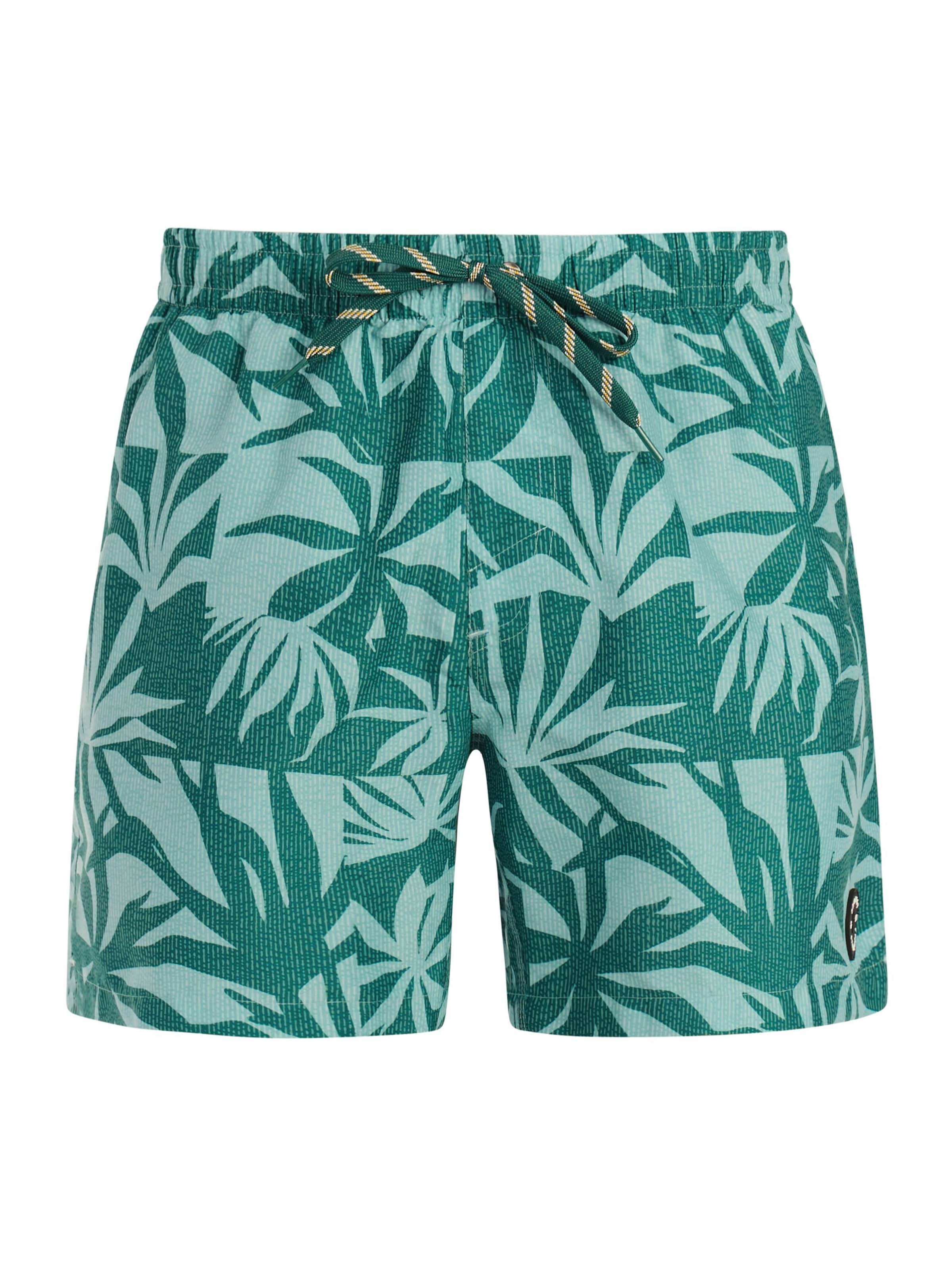 PROTEST Swimming shorts 'PRTPanther' in Aqua, Item view
