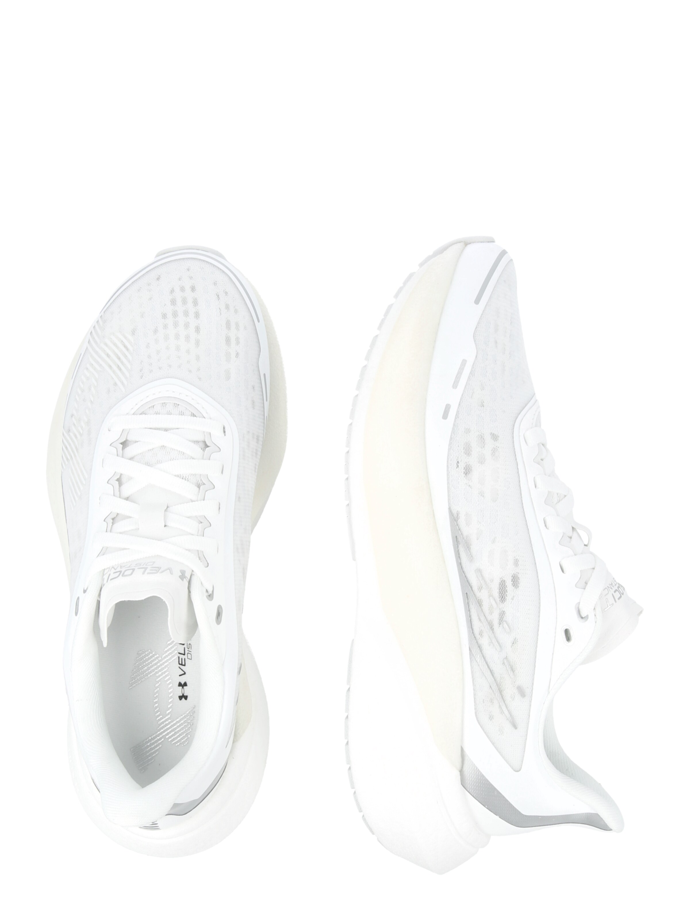 UNDER ARMOUR Обувь для бега 'Velociti Distance' в Белый